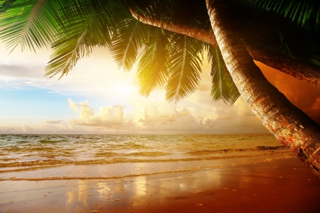 sunrise on Caribbean beachの写真素材