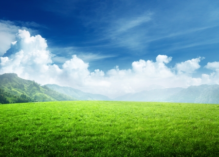 field of grass in  mountainの写真素材