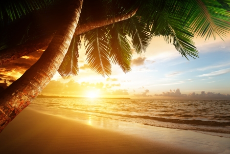 sunrise on Caribbean beachの写真素材