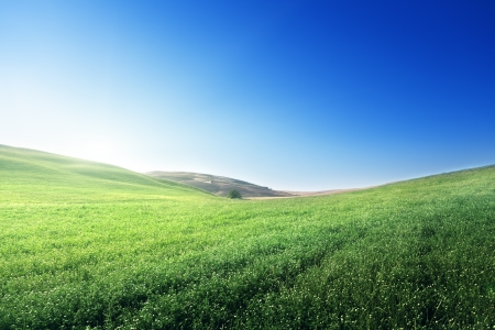 hills in sunny day Tuscany, Italyの写真素材