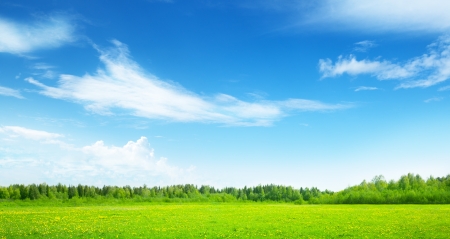 field of spring grass and perfect skyの写真素材