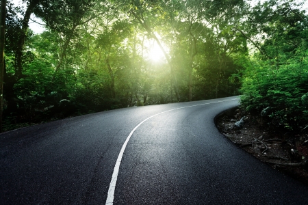 empty road in jungle of Seychelles islandsの写真素材