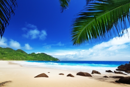 beach at Mahe island, Seychelles の写真素材