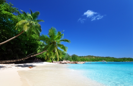 Anse Lazio beach at Praslin island, Seychelles の写真素材