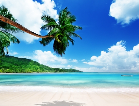 beach on Mahe island in Seychelles の写真素材