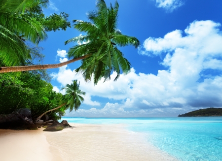 beach on Mahe island in Seychelles の写真素材