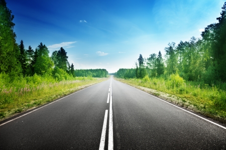 road in deep forestの写真素材