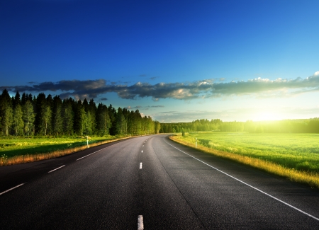 Asphalt road in forestの写真素材