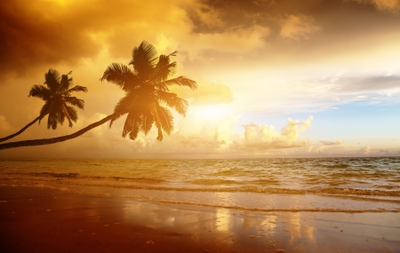 sunset on the beach of caribbean seaの写真素材