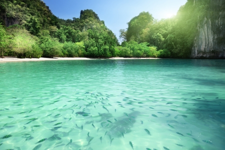 Tropical lagoon beach in Thailandの写真素材