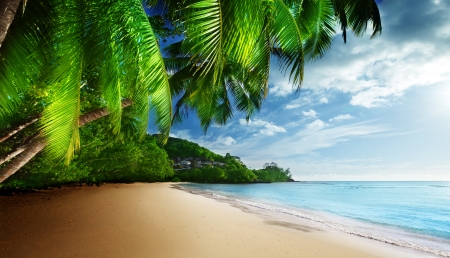 sunset on beach Anse Takamaka of Mahe island, seychelles の写真素材
