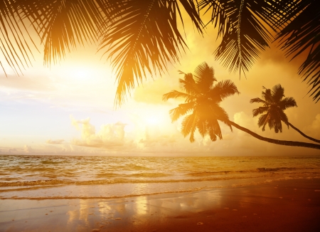 sunset on the beach of caribbean seaの写真素材