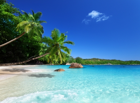 beach at Praslin island, Seychelles の写真素材