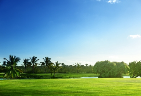 golf courseの写真素材