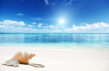 sea shells and perls on the beachの写真素材