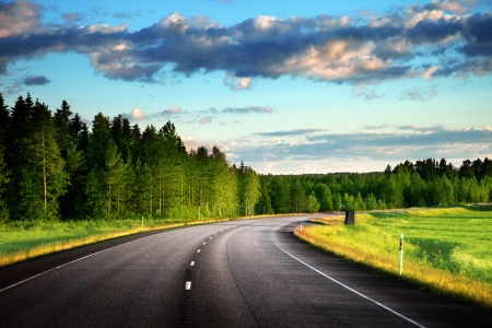 Asphalt road in forestの写真素材