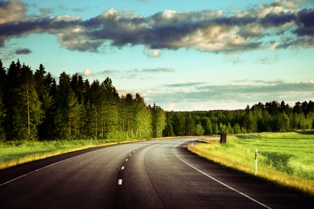 Asphalt road in forestの写真素材