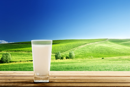 glass of milk and sunny dayの写真素材