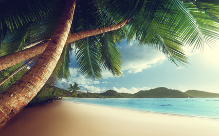 sunset on beach Anse Takamaka of Mahe island, seychellesの写真素材