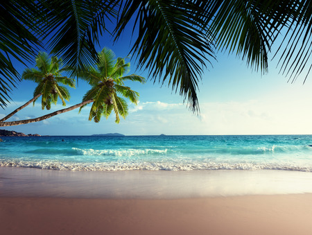 sunset on Seychelles beachの写真素材