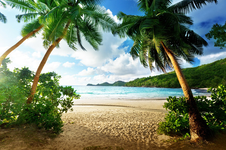 sunset on the beach Takamaka, Mahe island, Seychellesの写真素材