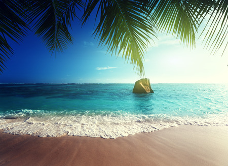 sunset on Seychelles beachの写真素材
