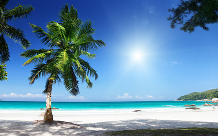 Anse Lazio beach Praslin island, Seychelles の写真素材