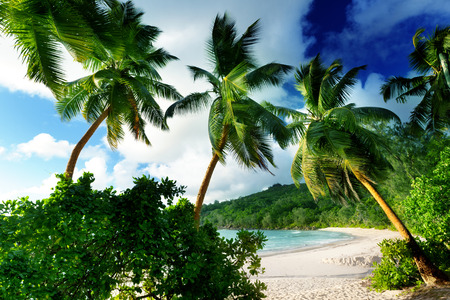 sunset on the beach Takamaka, Mahe island, Seychellesの写真素材