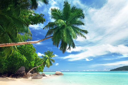 beach on Mahe island, Seychelles の写真素材