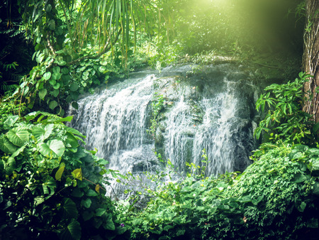 waterfall in jungles of Seychelles, Mahe islandの写真素材