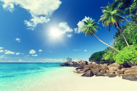 beach on Mahe island, Seychellesの写真素材
