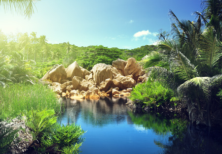 lake in jungle of Seychelles, La Digue islandの写真素材