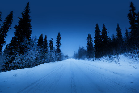 night road in winter forestの写真素材
