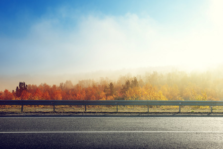 autumn road in sunset timeの写真素材