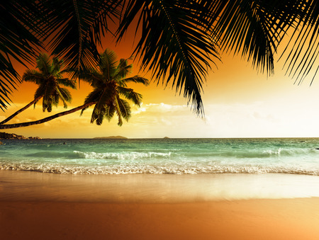 sunset on the beach of caribbean seaの写真素材