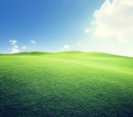 green field and blue skyの写真素材