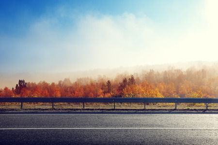 autumn road in sunset timeの写真素材