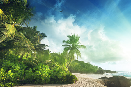 sunset on Seychelles beachの写真素材