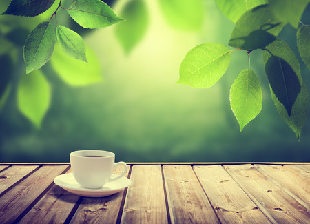 cup coffee and sunny trees backgroundの写真素材