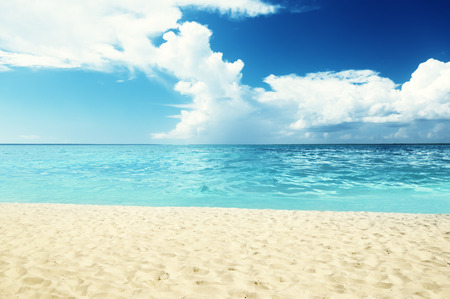 tropical beachの写真素材