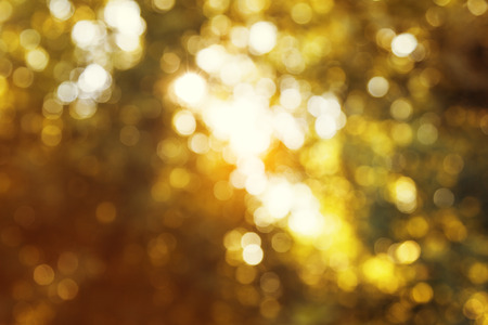 bokeh in autumn forestの写真素材