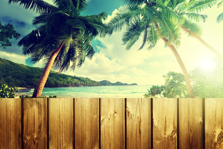 fence on the beachの写真素材