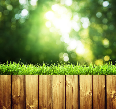 fence in forestの写真素材