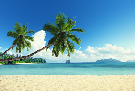 tropical beachの写真素材