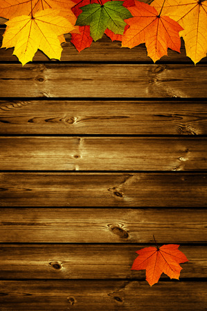 wooden background with autumn maple leavesの写真素材