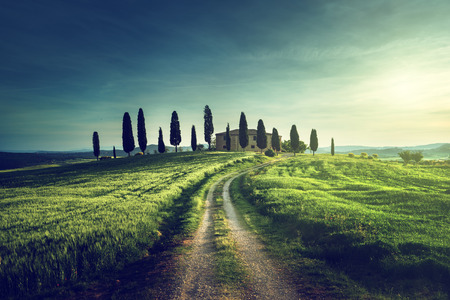 Classic Tuscan views in spring sunset time,  Pienza, Italyの写真素材