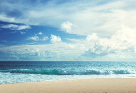 tropical beachの写真素材