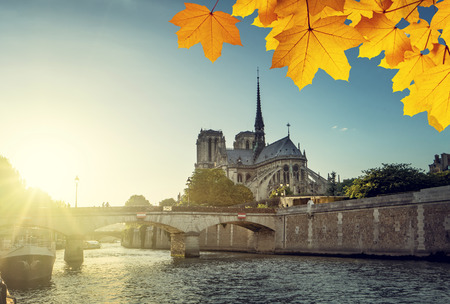 Notre Dame de Paris and autumn leaves, Franceの写真素材