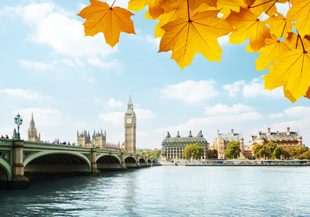 autumn leaves and Big Ben, Londonの写真素材