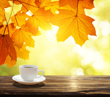 cup of coffee and autumn leavesの写真素材